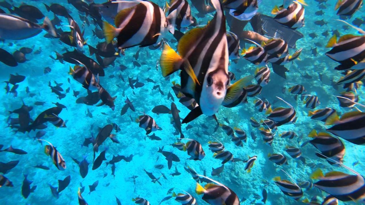 Infinity Dhiffushi Hotel Kültér fotó