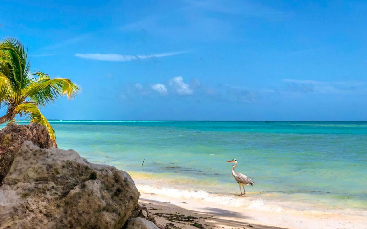 Infinity Dhiffushi Hotel Kültér fotó