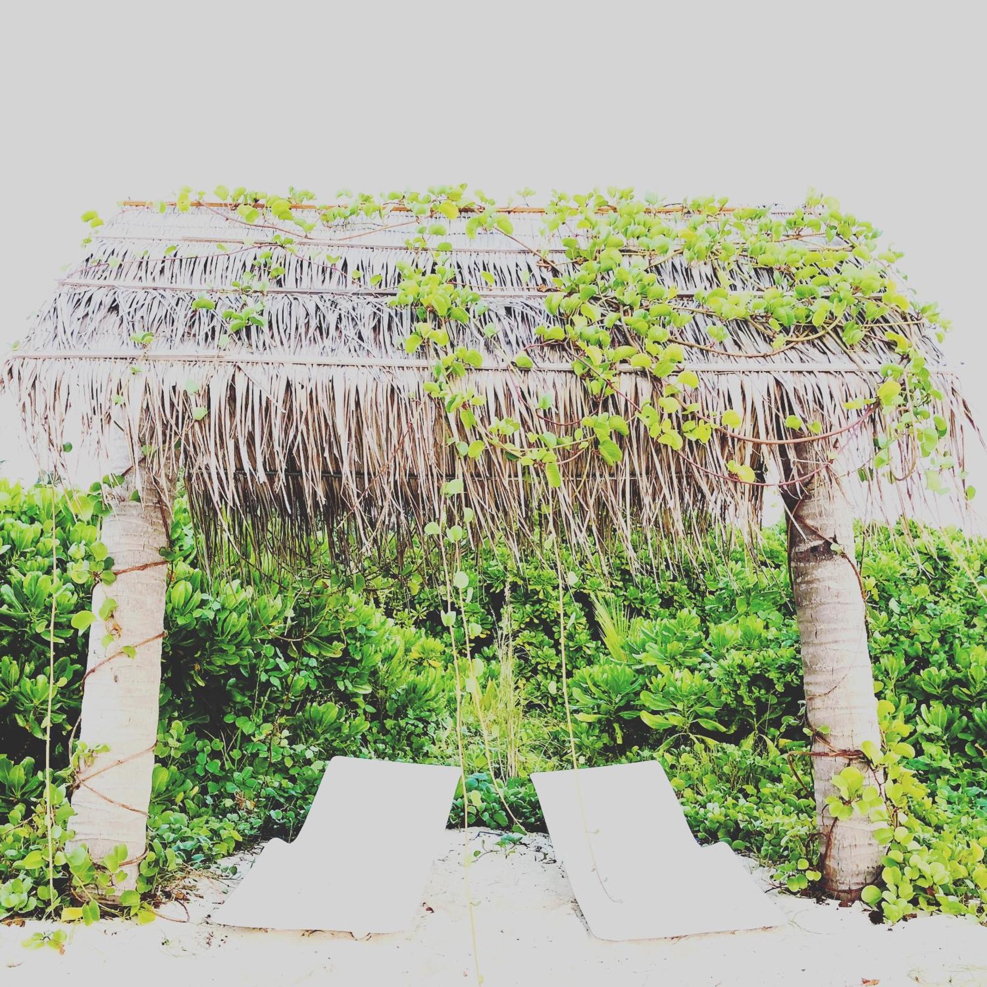 Infinity Dhiffushi Hotel Kültér fotó